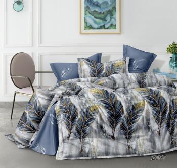 Постельное белье из сатина "Стелла" (пакет ПВХ) 1,5 сп. (диз.: 2657) КСВС