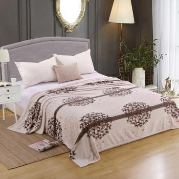 Плед "Велсофт" 200*220 (диз.: Одуванчики) ПВе