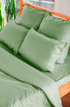 Постельное белье из сатина &quot;Камелия&quot; Евро 200*220 (нав. 50*70 и 70*70 диз.: Фисташка) КССС