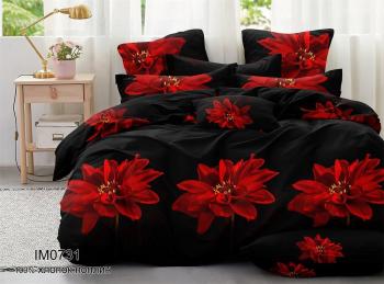 Постельное белье из поплина "Наслаждение" 3Д 1,5 (диз.: IM0731) КНПN