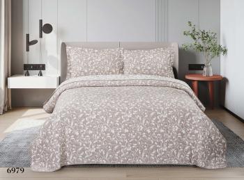 Набор Валенсия ( покрывало + нав 50/70 (2 шт)) 200*220 (диз.: 6979) 