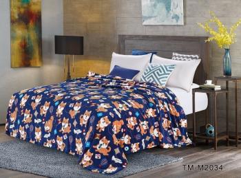 Плед "Велсофт" 1,5 сп. детский (диз.:TM-M2034) ПВ