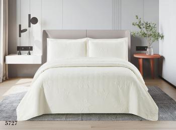 Набор Валенсия ( покрывало + нав 50/70 (2 шт)) 220*240 (диз.: 5727) 