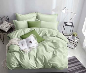 Постельное белье из микрофибры "Дионис" Евро 200*220 (диз.: 6) КДЕд